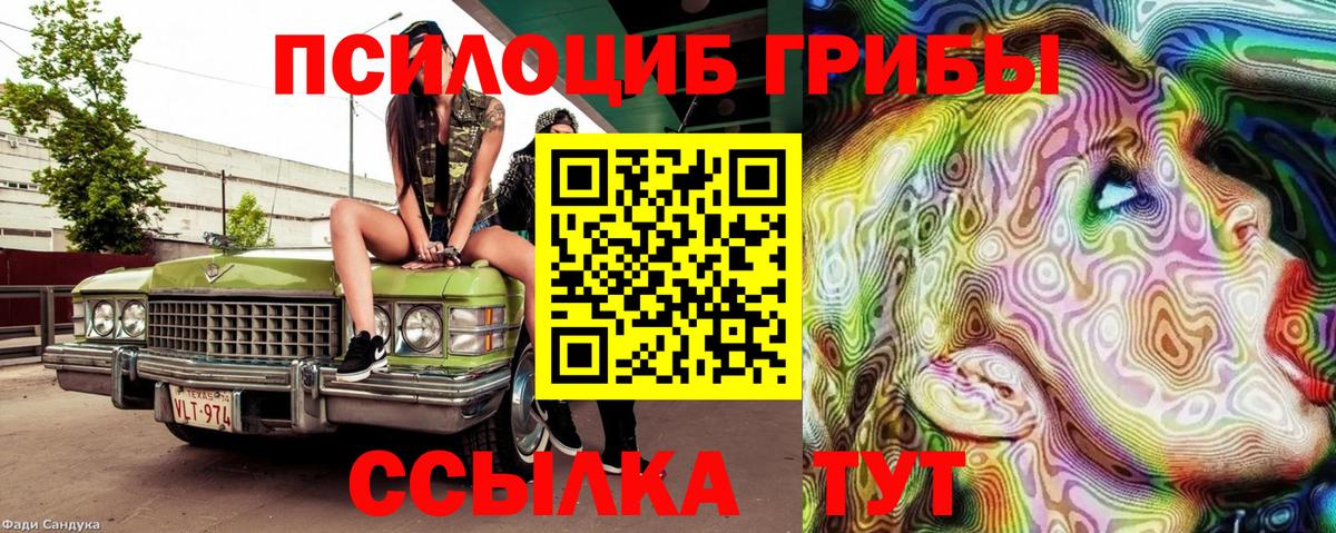 Галлюциногенные грибы прущие грибы  Псилоцибиновые грибы GOLDEN TEACHER  Качканар  Вход с VPN 