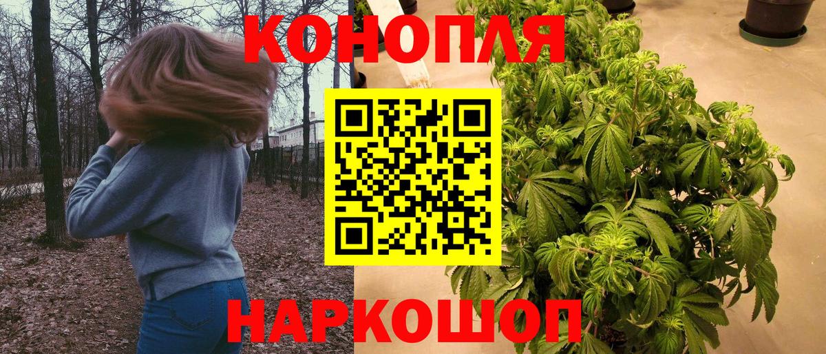 Качканар  Бошки Шишки MAZAR  Бошки марихуана планчик  Вход с VPN 
